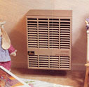 Empire Direct Vent Heaters